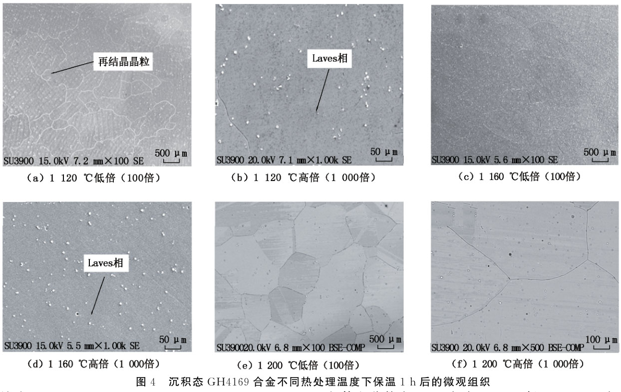 1716626892741704.jpg 未標題-4.jpg